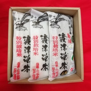 鳥越渡津蛍米 玄米・白米セット