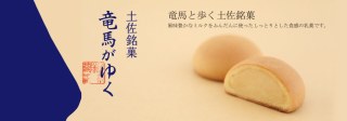 竜馬がゆく