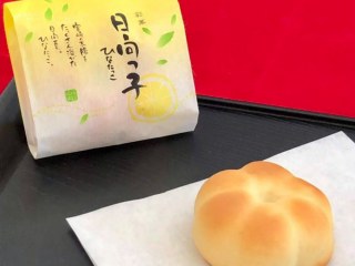 日向っ子