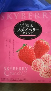 栃木スカイベリークランチ
