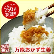万能おかず しょうが